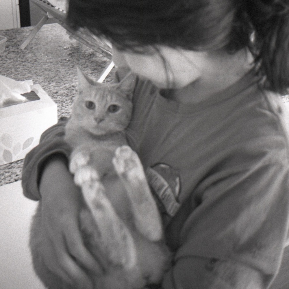 Meet your Posher, Angelina